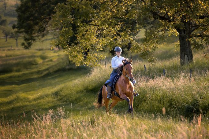 Frau reitet auf brauner Spanierstute im entspannten Galopp einen Feldweg hinauf