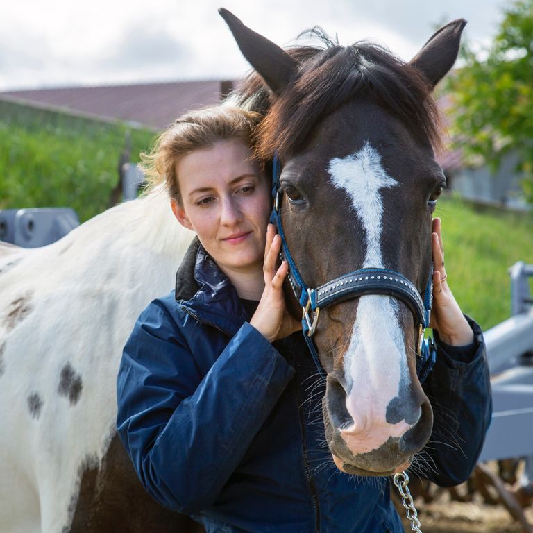 Osteopathische Behandlung Ihres Pferdes